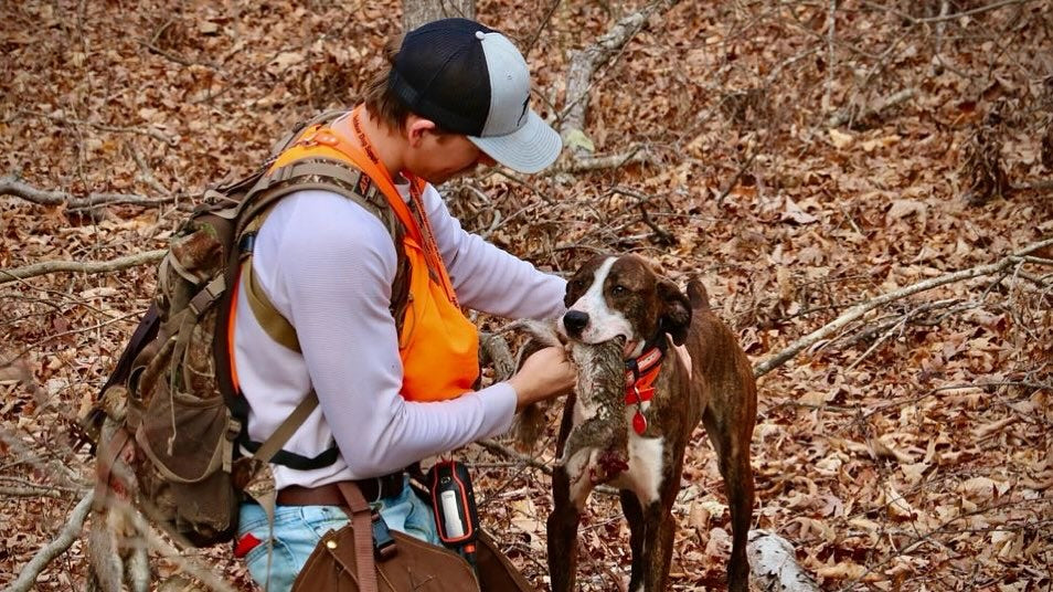 Hooked on a Bark: How a Squirrel Dog Changed the Way I Hunt