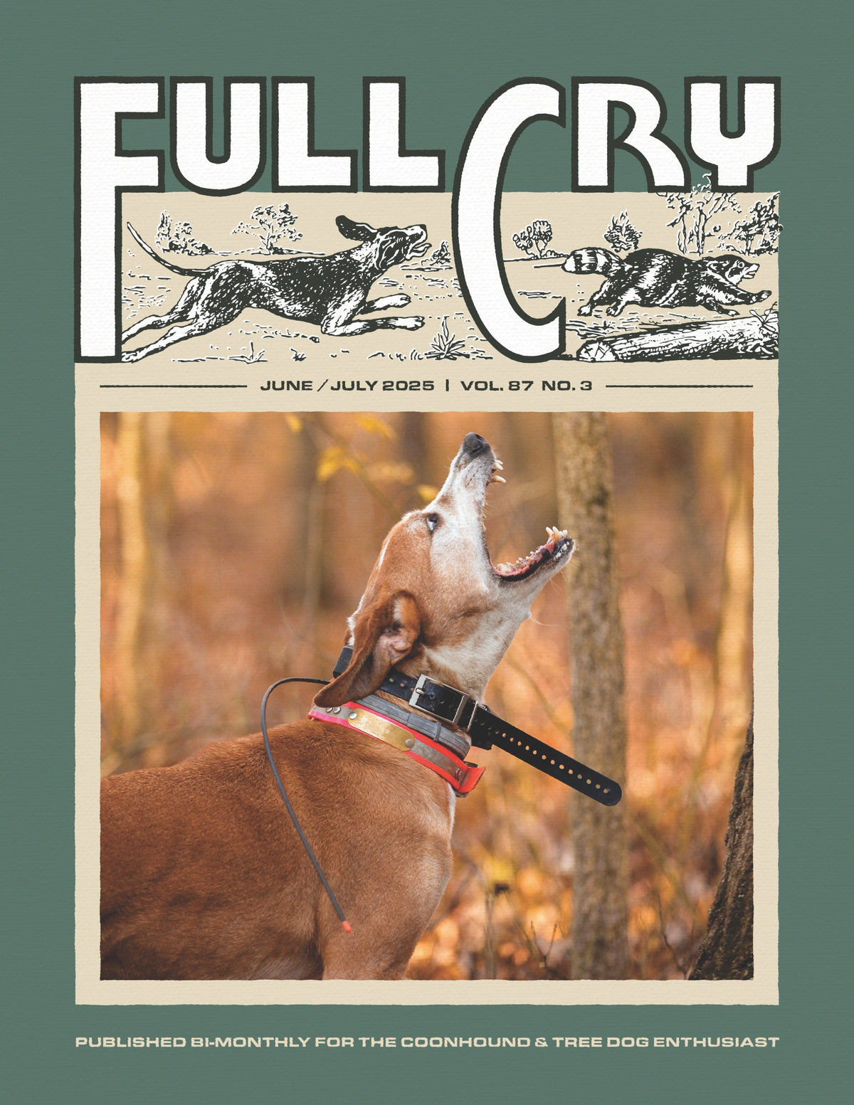 *Try One!* Single issues