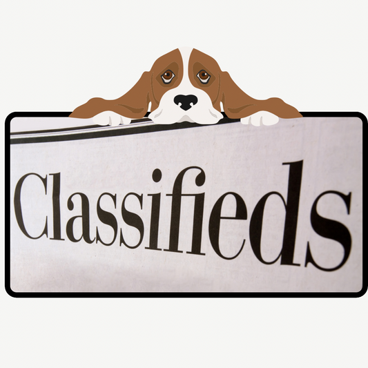Classified Ad -Placements